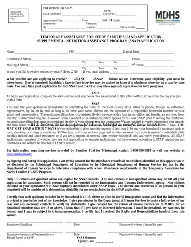Fill in Your Mississippi Snap Application Template
